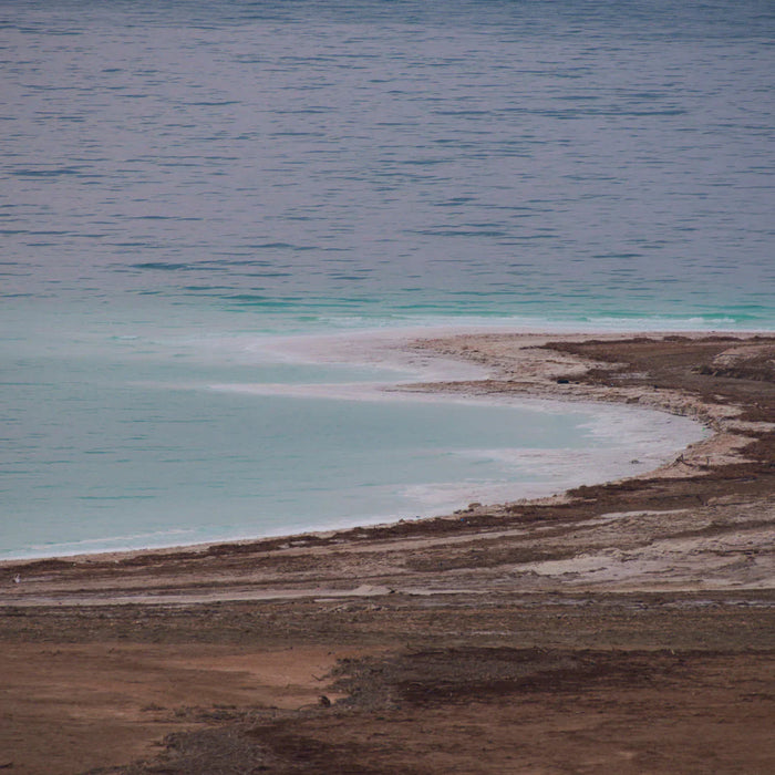 Come with Us, to the Dead Sea