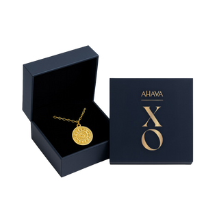 MONEDA XO