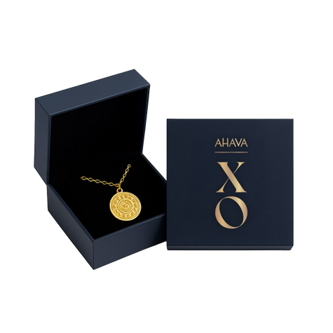 MONEDA XO